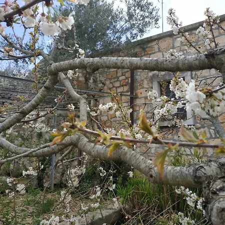 Trullo Monte Laureto * Putignano