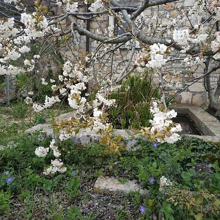 Trullo Monte Laureto Appartement Putignano
