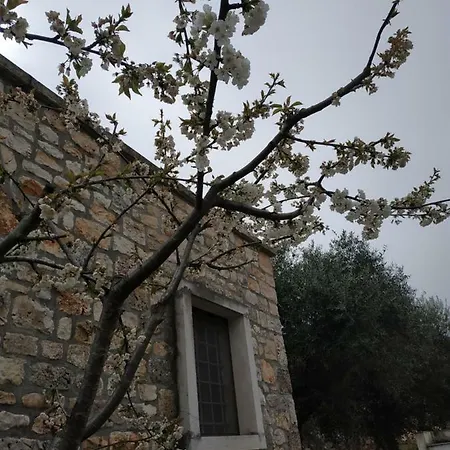 Apartament Trullo Monte Laureto *